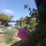 Rainbow Bay Nature And אוזדרה