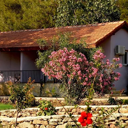 Rainbow Bay Nature And * Ozdere