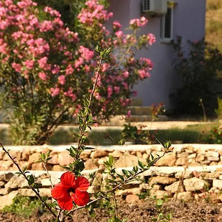 Rainbow Bay Nature And Özdere