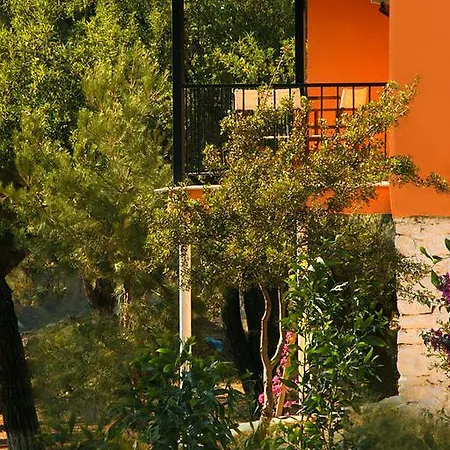 Rainbow Bay Nature And * Ozdere