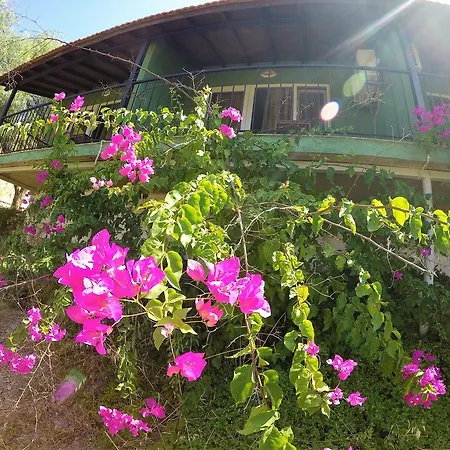 Hotel Rainbow Bay