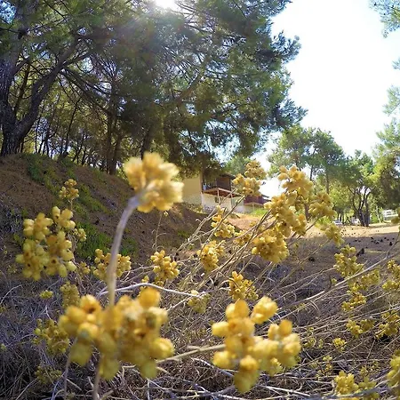 Rainbow Bay Nature And Ξενοδοχείο