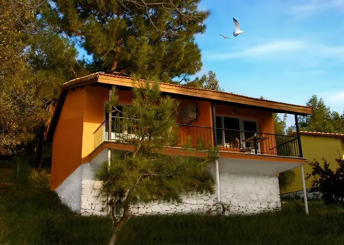 Hotel Rainbow Bay Nature And *