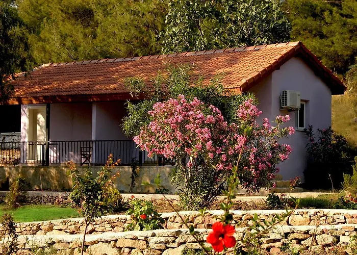 Rainbow Bay Nature And * Özdere