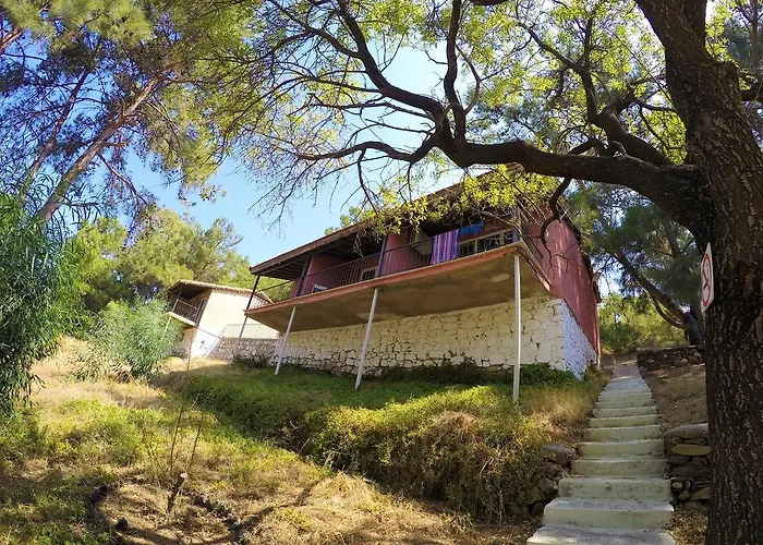 Rainbow Bay Nature And