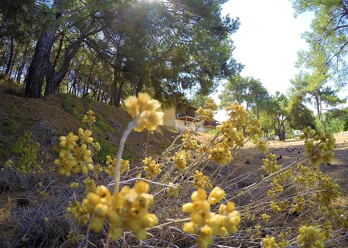 Rainbow Bay Nature And Hotel