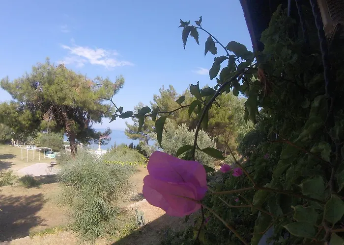 Rainbow Bay Nature And Özdere