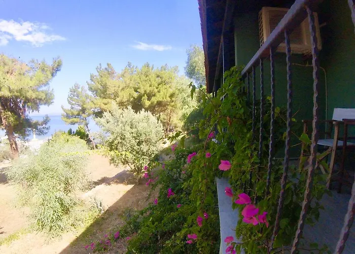 Hotel Rainbow Bay Nature And