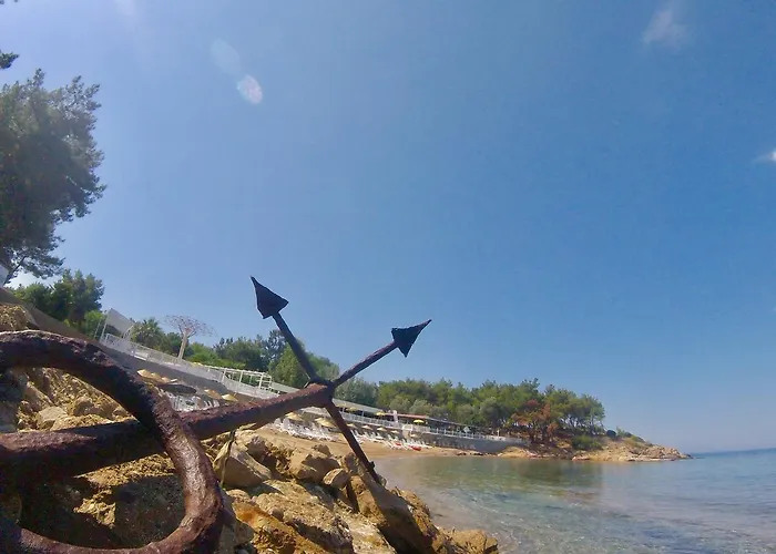 Rainbow Bay Nature And