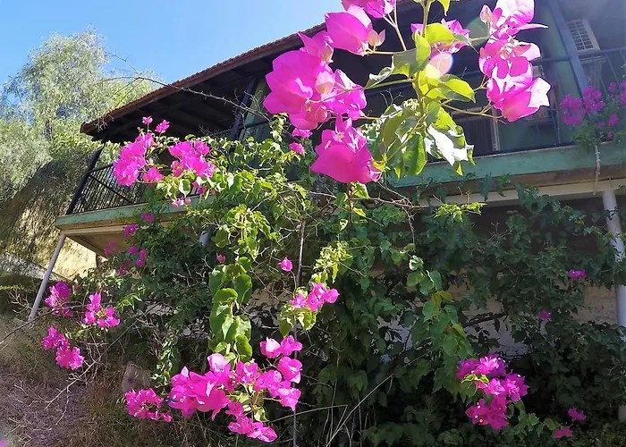 Rainbow Bay Nature And